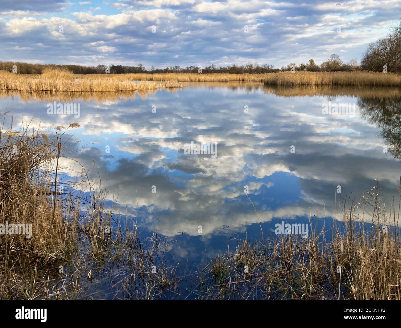 Lac avec des nuages réfléchissent au printemps Banque D'Images