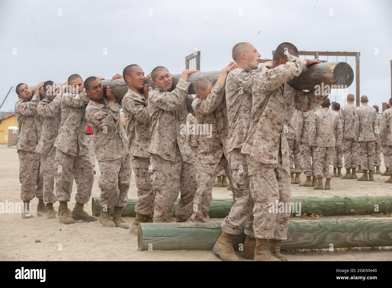 Les recrues de Charlie Company, 1er Bataillon d'entraînement des recrues, participent à des exercices de bûches au Marine corps Recruit Depot, San Diego, 7 juin 2021. L'entraînement physique a été utilisé pour renforcer le corps et développer un caractère fort qui incarnent nos valeurs fondamentales par le travail d'équipe. Banque D'Images