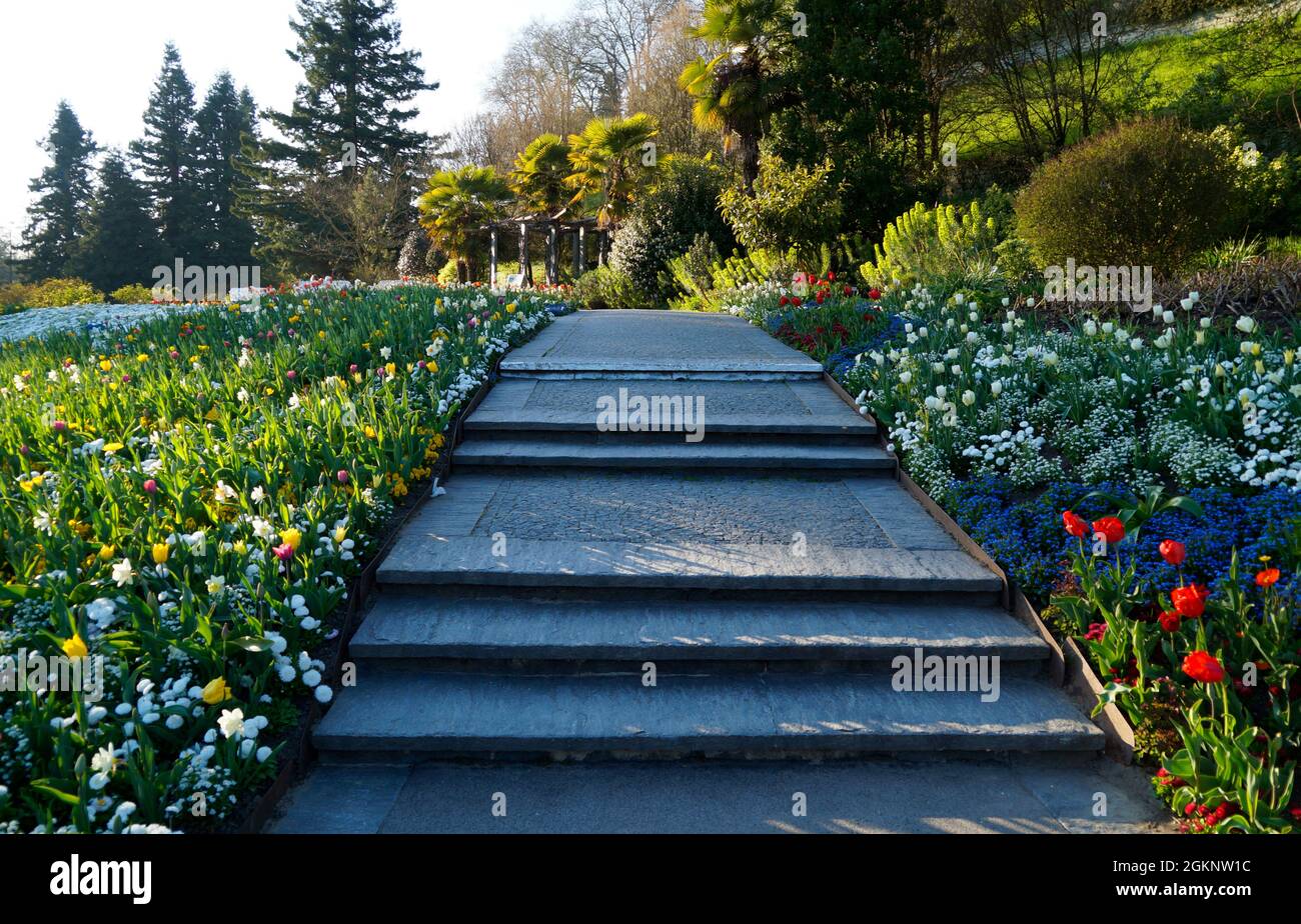 Un beau chemin entouré de fleurs et d'arbustes verts sur l'île aux fleurs de Mainau en Allemagne Banque D'Images