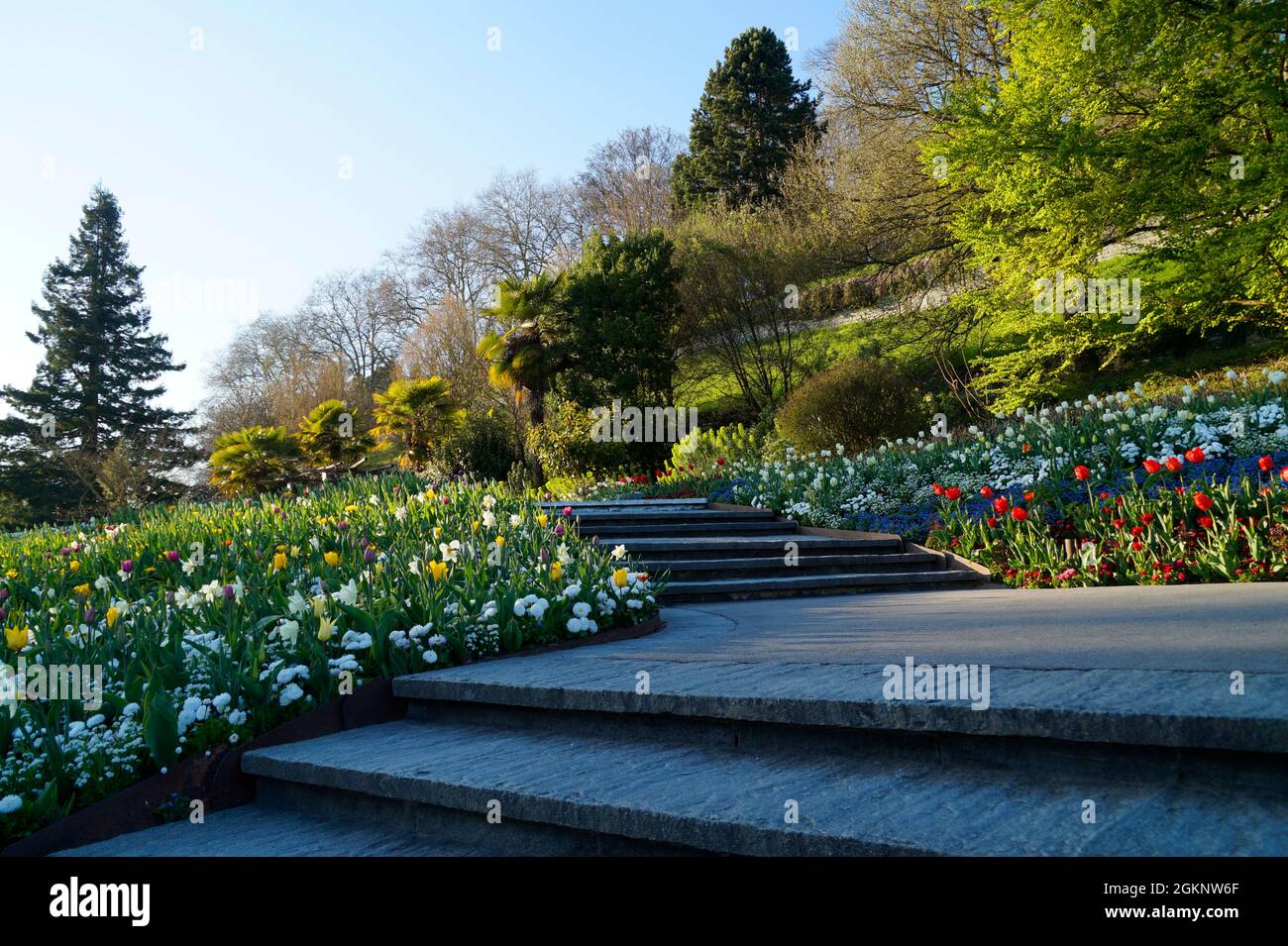 Un beau chemin entouré de fleurs et d'arbustes verts sur l'île aux fleurs de Mainau en Allemagne Banque D'Images Un beau chemin entouré de fleurs et d'arbustes verts sur l'île aux fleurs de Mainau en Allemagne Banque D'Images