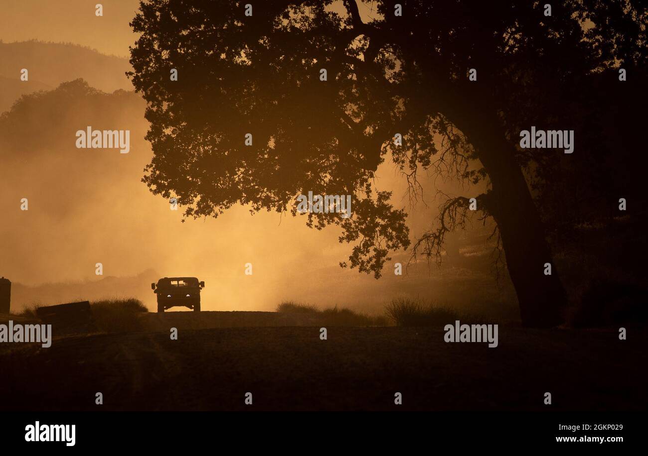 Description: Un HMMWV fait monter la poussière en approchant lentement un site d'entraînement au coucher du soleil à fort Hunter Liggett, Calf. Le 9 juin 2021pendant l'exercice de formation au soutien au combat (CSTX) qui se déroule ici les 5 et 19 juin.le CSTX qui se déroule sous la 91e Division de formation, est un scénario qui permet aux unités de soutien au combat de former leurs rôles de temps de guerre à fournir du matériel et un soutien à l'entretien pour faire avancer les unités de combat déployées. Banque D'Images