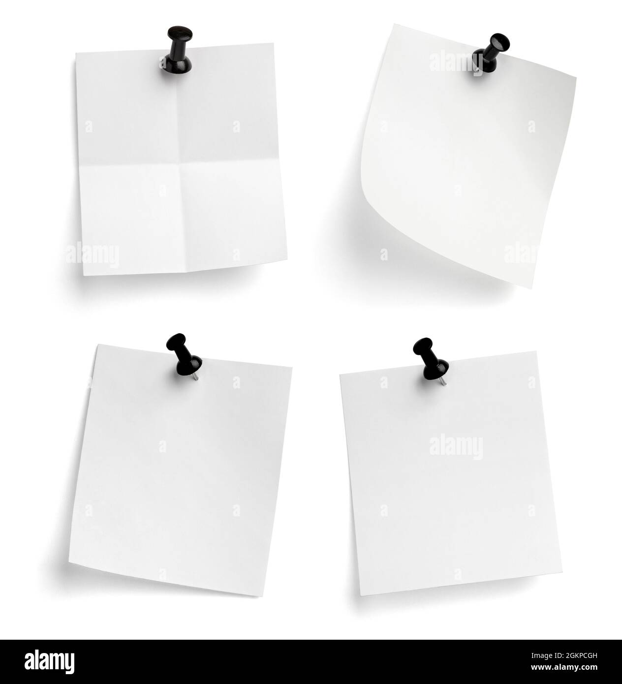 notez le message « punaise » sur papier rouge blanc noir Banque D'Images