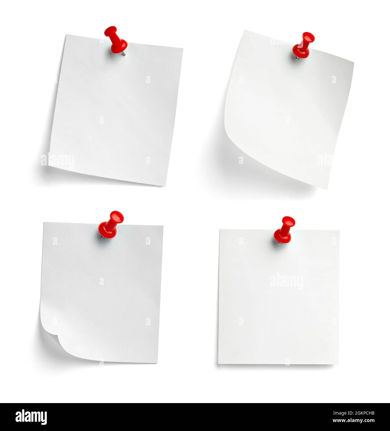 notez le message « punaise » sur papier rouge blanc noir Banque D'Images