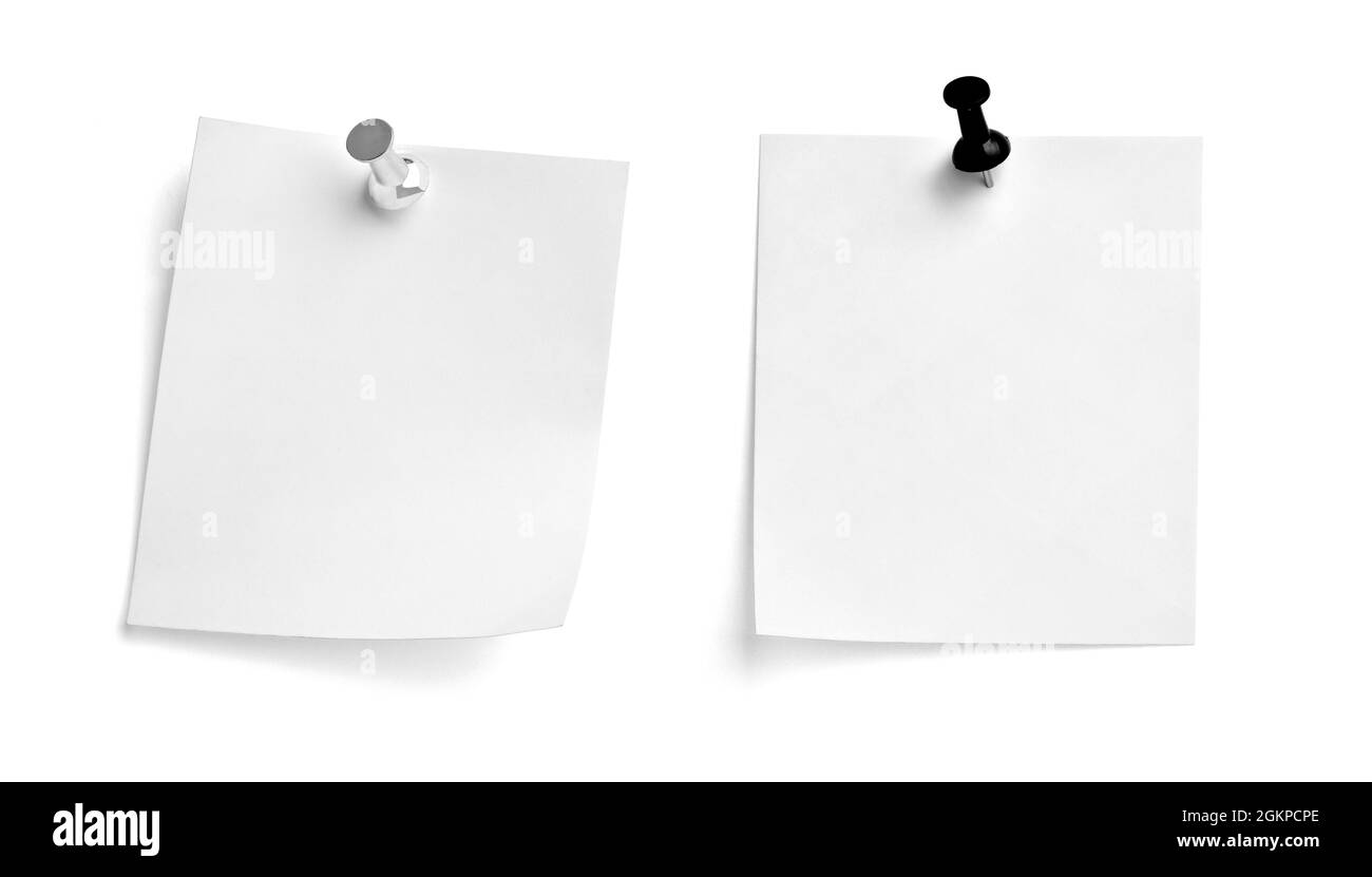 notez le message « punaise » sur papier rouge blanc noir Banque D'Images