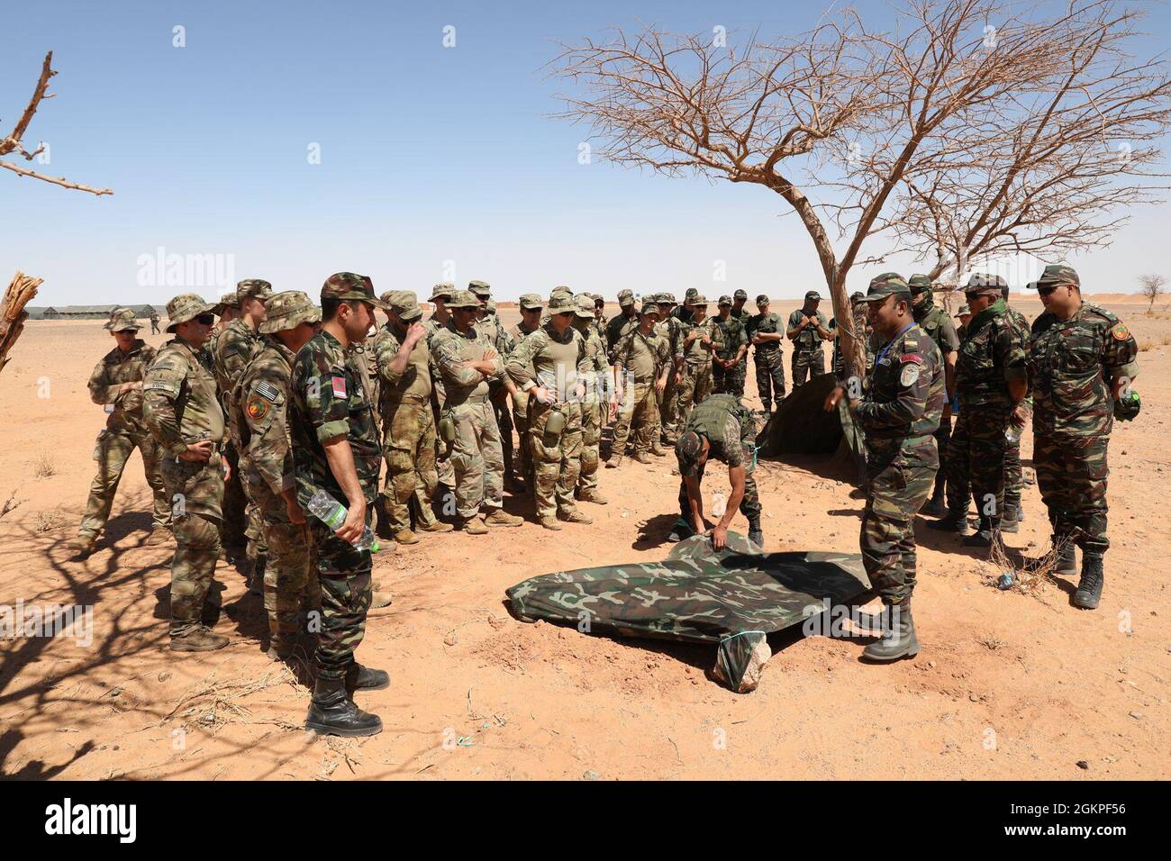 Les soldats de l'armée américaine affectés au 503e Régiment d'infanterie de parachutisme, 2e Bataillon, 173e Brigade aéroportée et les soldats des Forces royales marocaines mènent une formation de survie dans le désert pendant l'African Lion 2021 le 13 juin 2021. African Lion 2021 est l'exercice annuel le plus important, conjoint et premier du Commandement de l'Afrique des États-Unis, organisé par le Maroc, la Tunisie et le Sénégal, le 7-18 juin. Plus de 7,000 participants de neuf pays et de l'OTAN s'entraînent ensemble en mettant l'accent sur l'amélioration de la préparation des forces américaines et des forces des pays partenaires. African Lion 21 est un exercice multidomaine, multicomposant et multinational, qui emploie un arra complet Banque D'Images