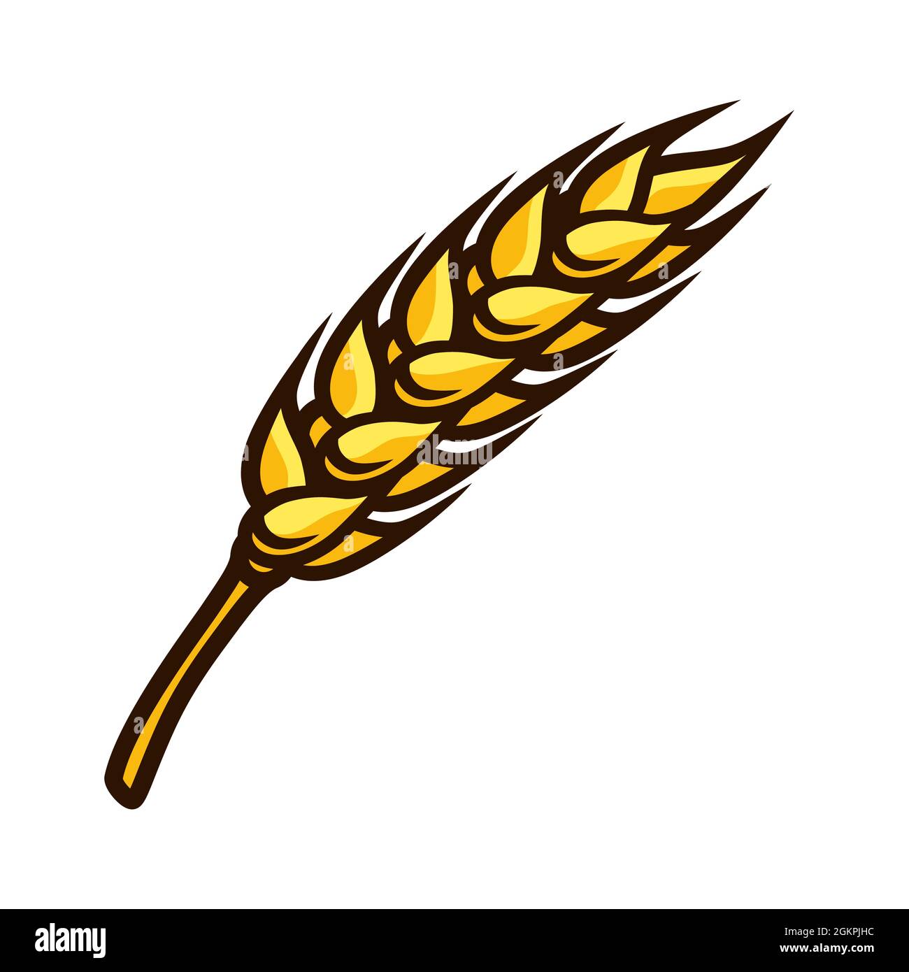 Illustration d'une oreille de blé mûr fraîche. Récolte automnale de légumes. Produits alimentaires pour les fermes, les marchés et les magasins. Illustration de Vecteur