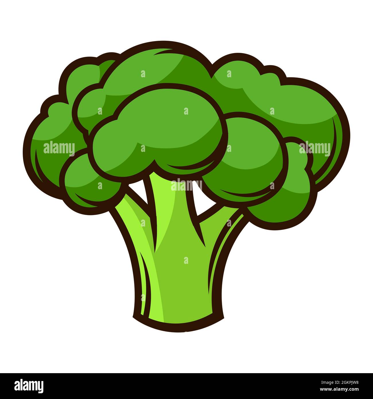 Illustration de brocoli mûr frais. Récolte automnale de légumes. Produits alimentaires pour les fermes, les marchés et les magasins. Illustration de Vecteur