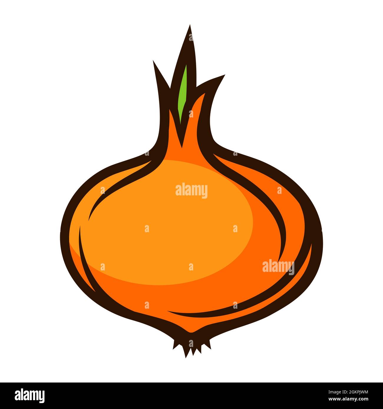 Illustration d'oignon frais et mûr. Récolte automnale de légumes. Produits alimentaires pour les fermes, les marchés et les magasins. Illustration de Vecteur