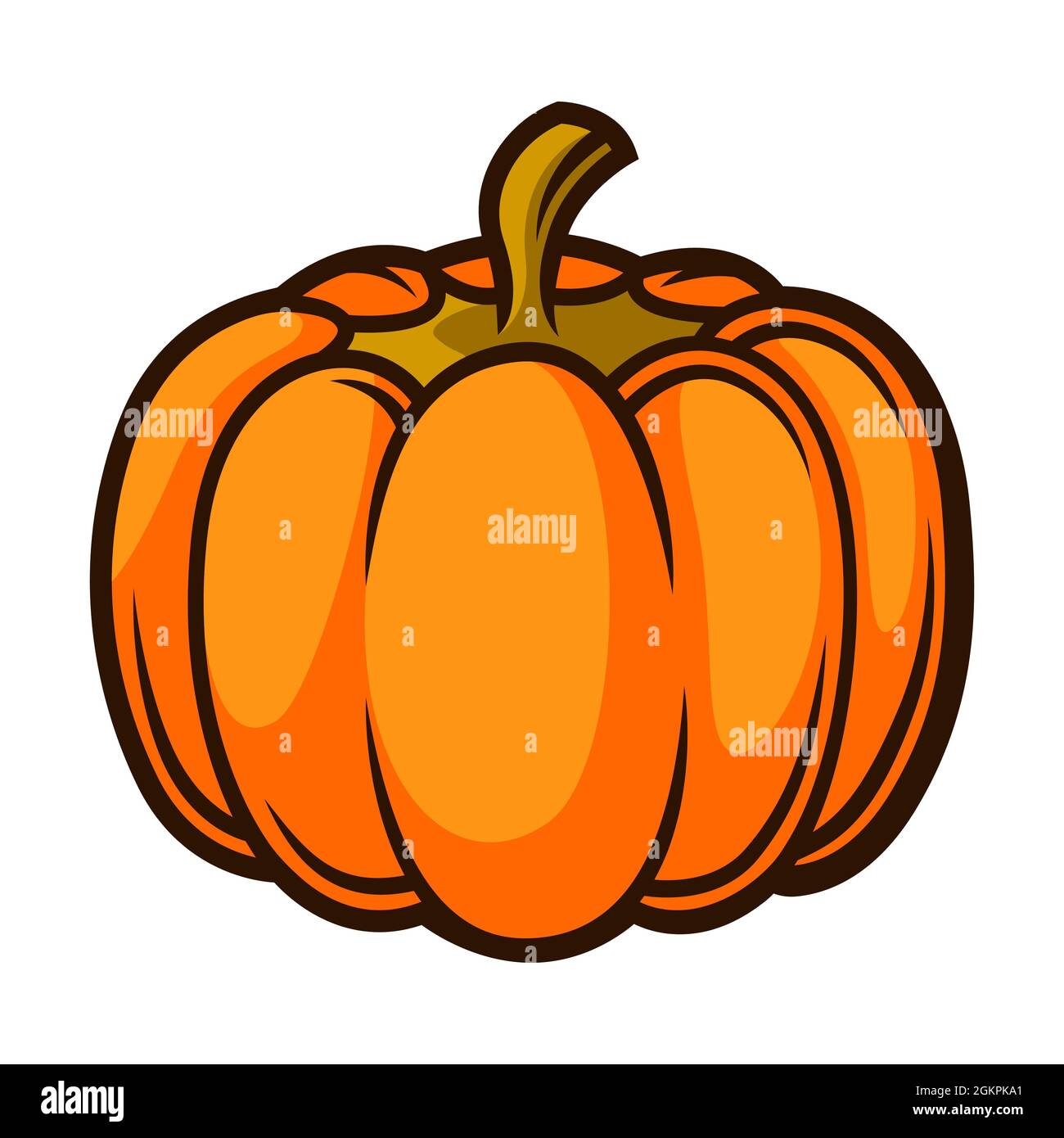 Illustration de la citrouille fraîche et mûre. Récolte automnale de légumes. Produits alimentaires pour les fermes, les marchés et les magasins. Illustration de Vecteur