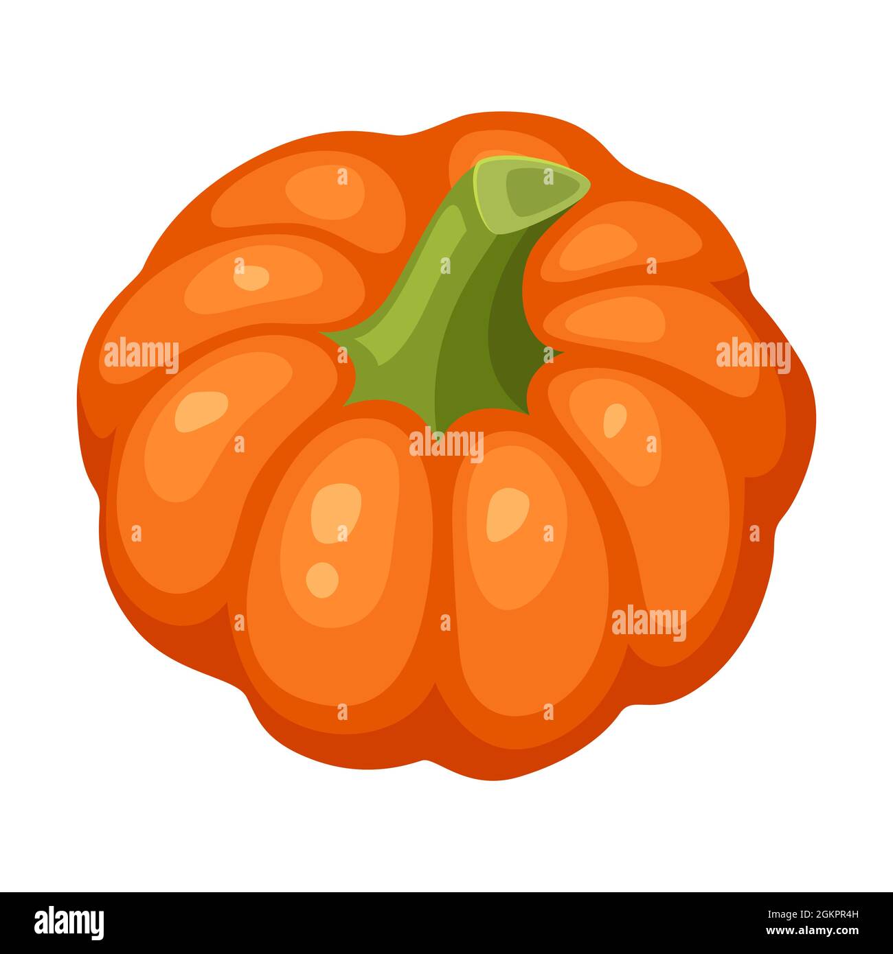 Illustration de la citrouille fraîche et mûre. Récolte automnale de légumes. Produits alimentaires pour les fermes, les marchés et les magasins. Illustration de Vecteur
