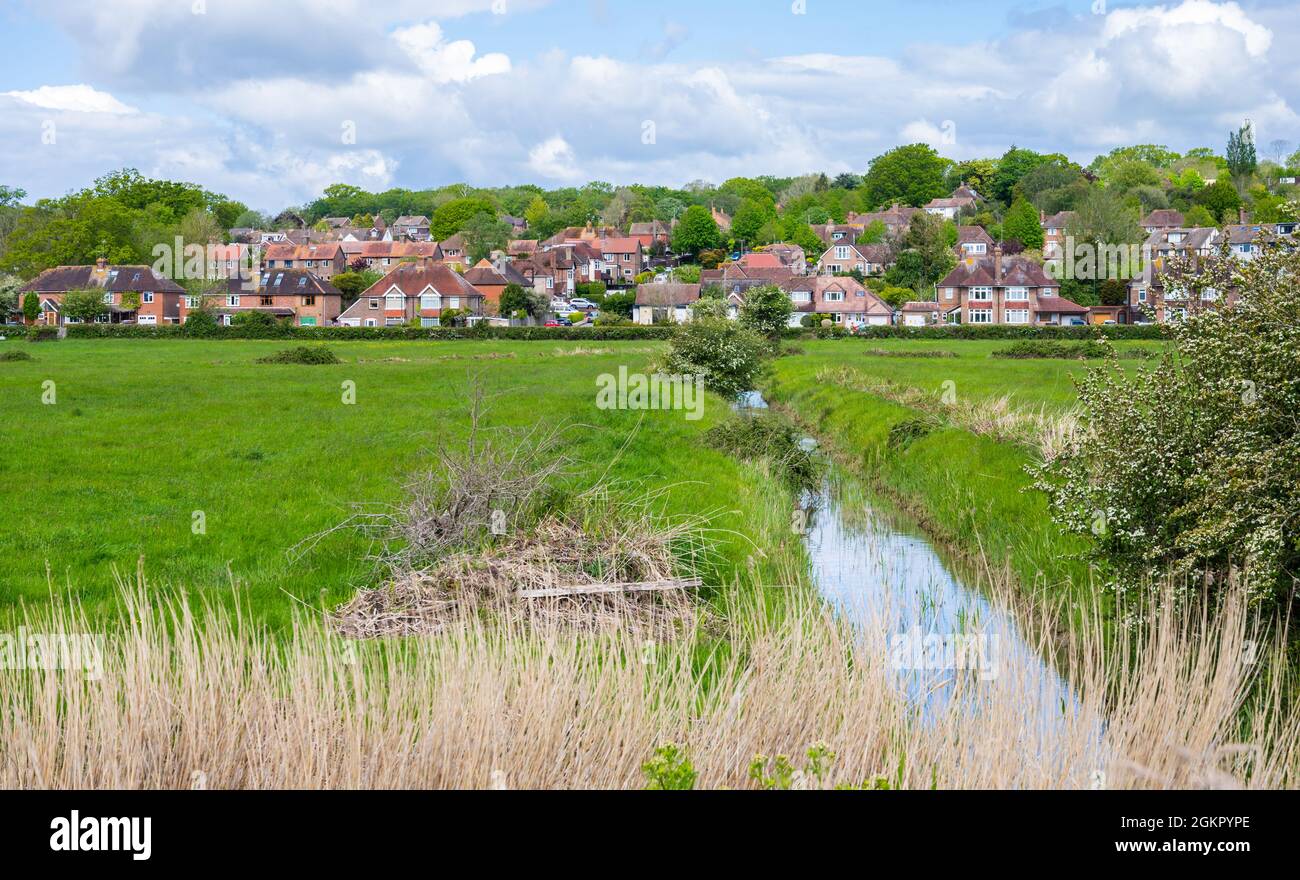 Logement résidentiel à travers les champs pris de la rivière à Arundel, West Sussex, Angleterre, Royaume-Uni. Banque D'Images