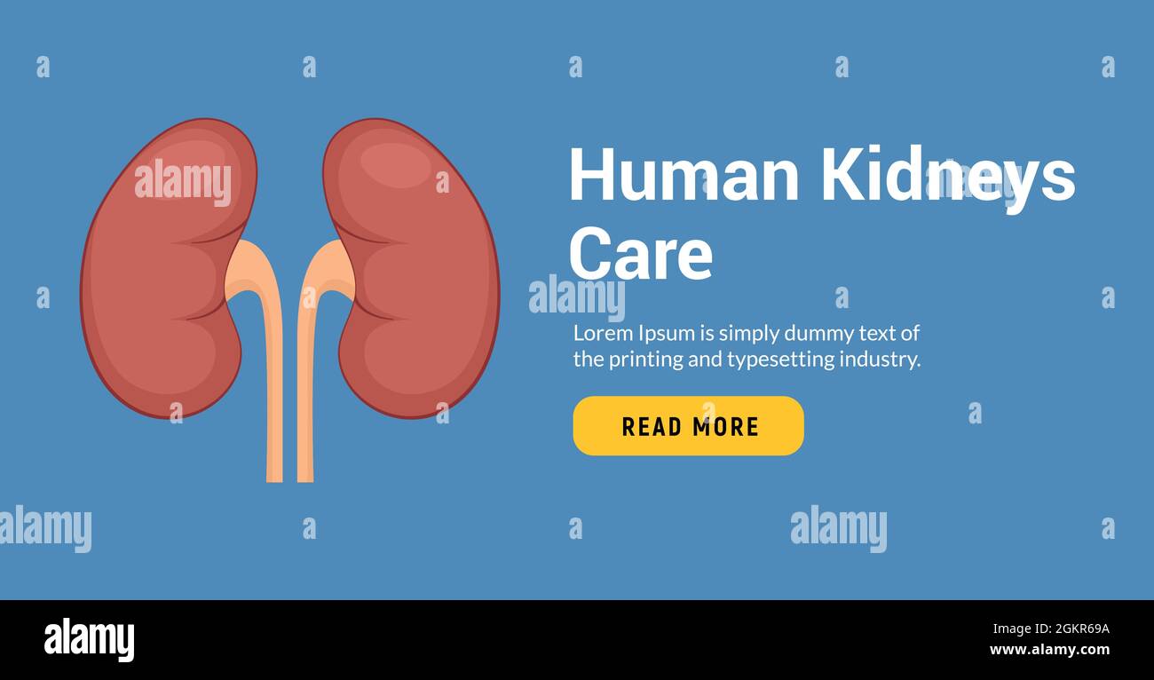 Poumon humain icône, système respiratoire sain poumons anatomie plate organe médical bannière Illustration de Vecteur