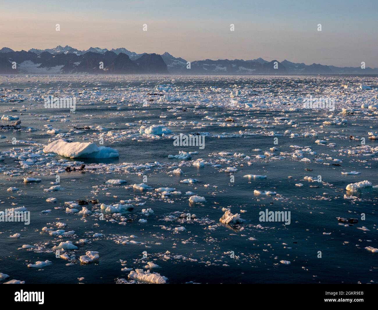 Glace à briste au large de la côte est du Groenland, régions polaires Banque D'Images