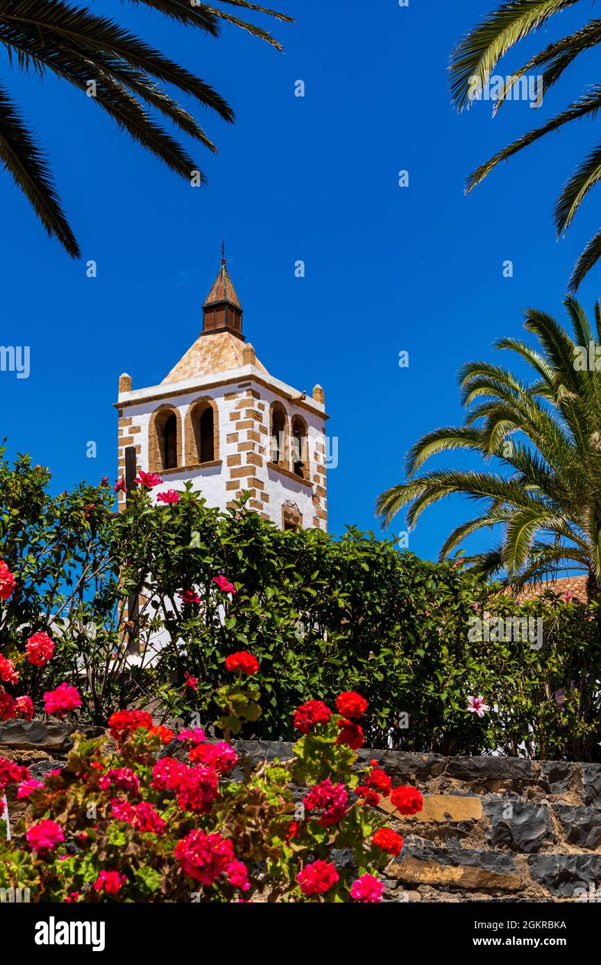 Fleurs colorées qui encadrent la tour de l'église Santa Maria sous le ciel bleu, Betancuria, Fuerteventura, îles Canaries, Espagne, Atlantique, Europe Banque D'Images