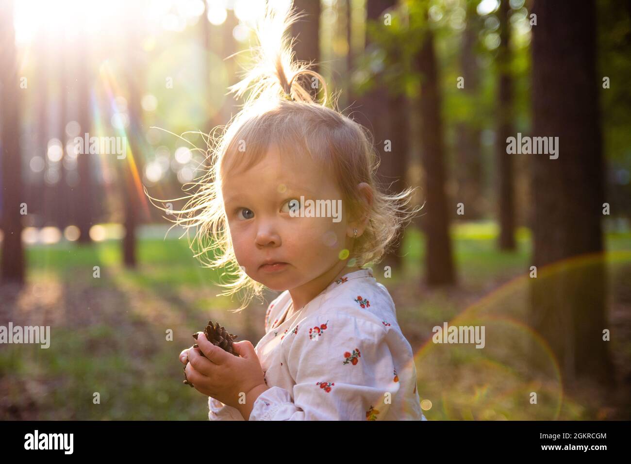 Une adorable petite fille caucasienne se promette dans une forêt de pins parmi les arbres par une journée ensoleillée au coucher du soleil. Le soleil brille à travers les cheveux délicats, glar Banque D'Images