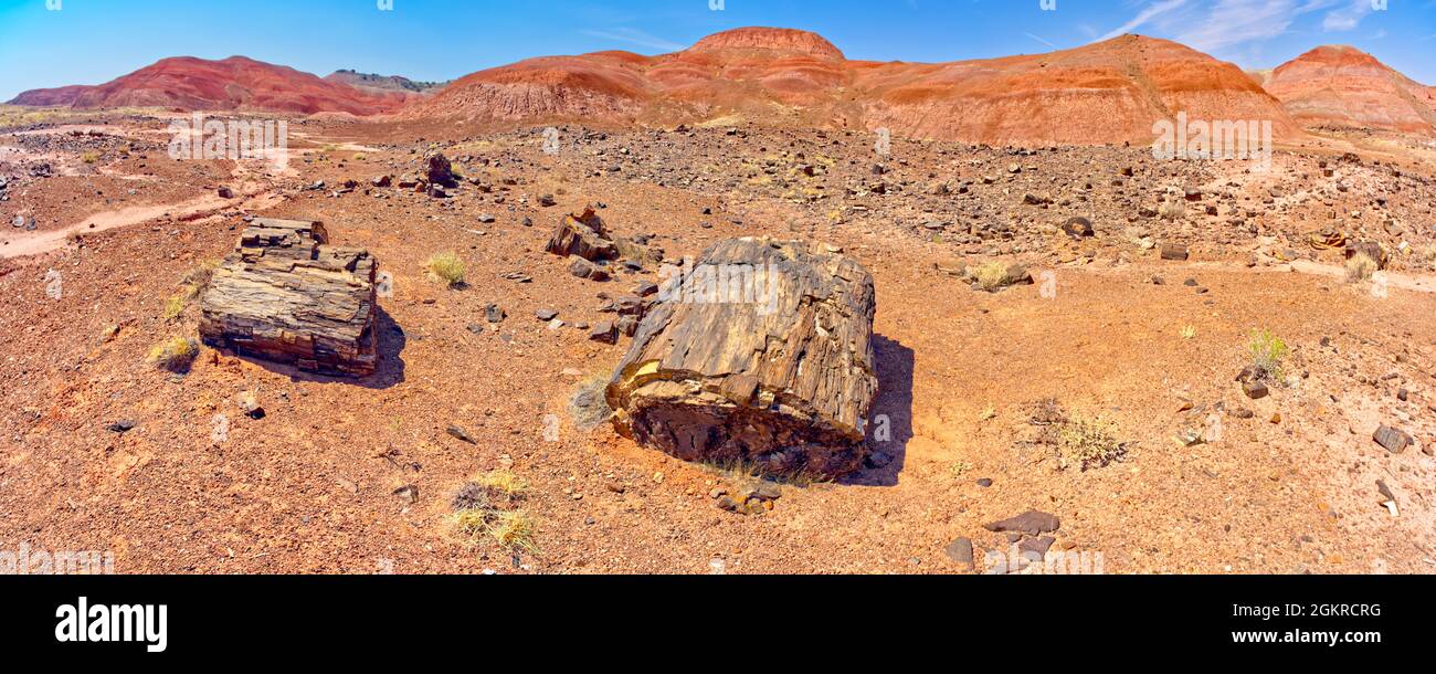 Collines d'argile bentonite rouge de sang au-dessous de Kachina point dans Petrified Forest National Park, Arizona, États-Unis d'Amérique, Amérique du Nord Banque D'Images