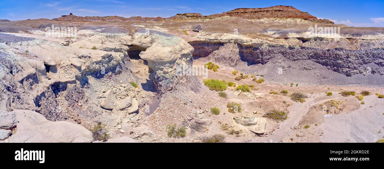 Une cascade sèche faite de bentonite pourpre dans les hauts plats du parc national de la forêt pétrifiée, Arizona, États-Unis d'Amérique, Amérique du Nord Banque D'Images