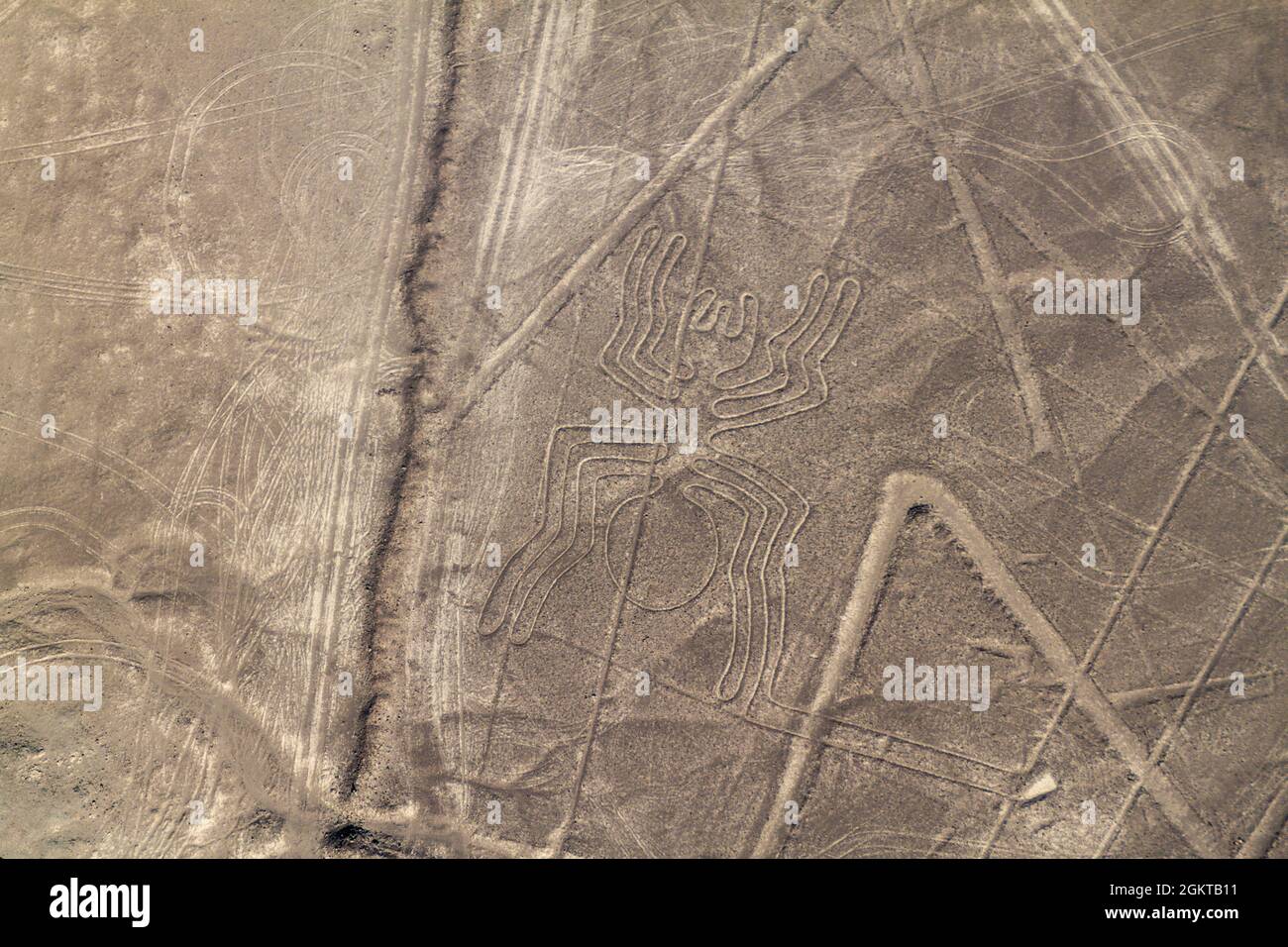 Vue aérienne des géoglyphes près de Nazca - célèbres lignes de Nazca, Pérou. Au centre, la figure Spider est présente. Banque D'Images