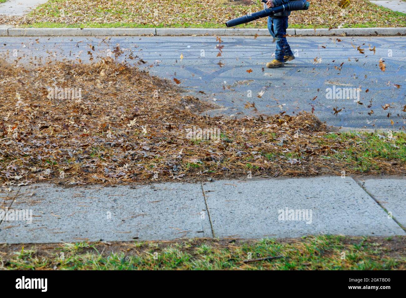 Retirer les feuilles tombées en automne les feuilles tourbillonnant vers le haut sur enlever les feuilles tombées de l'automne Banque D'Images