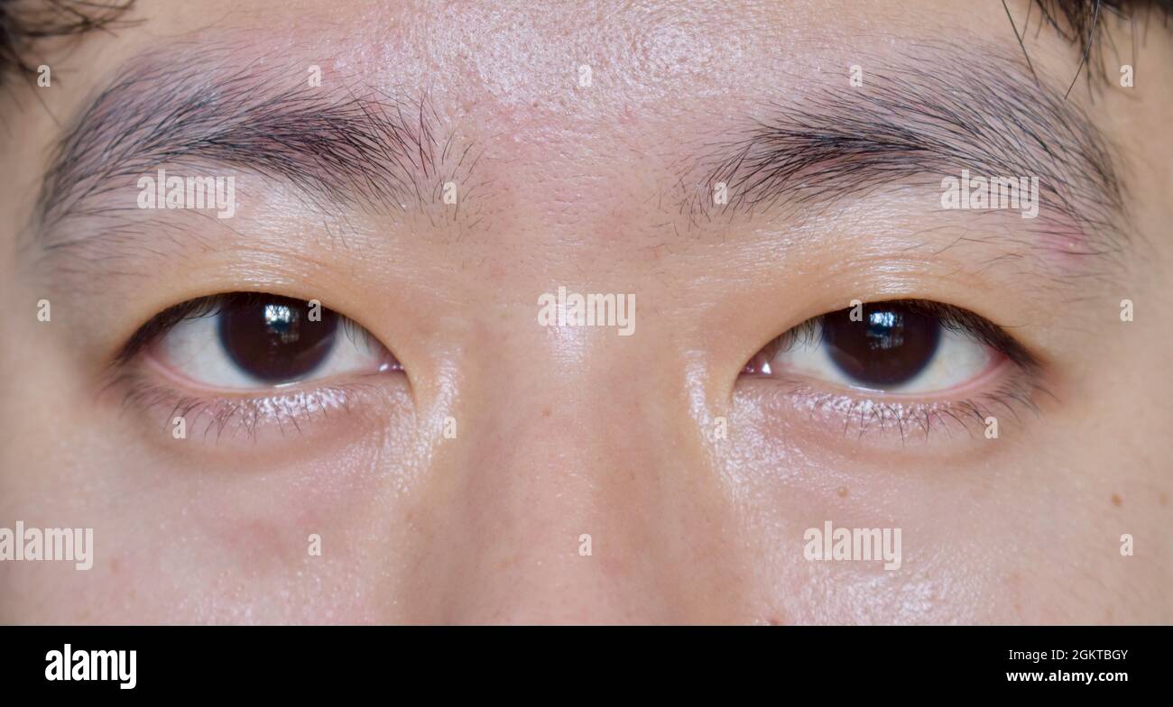 Monolid eyes. Полуазиатский разрез глаз. Monolid eyes перевод. Азиатский разрез глаза. Эпикантус рудимент.