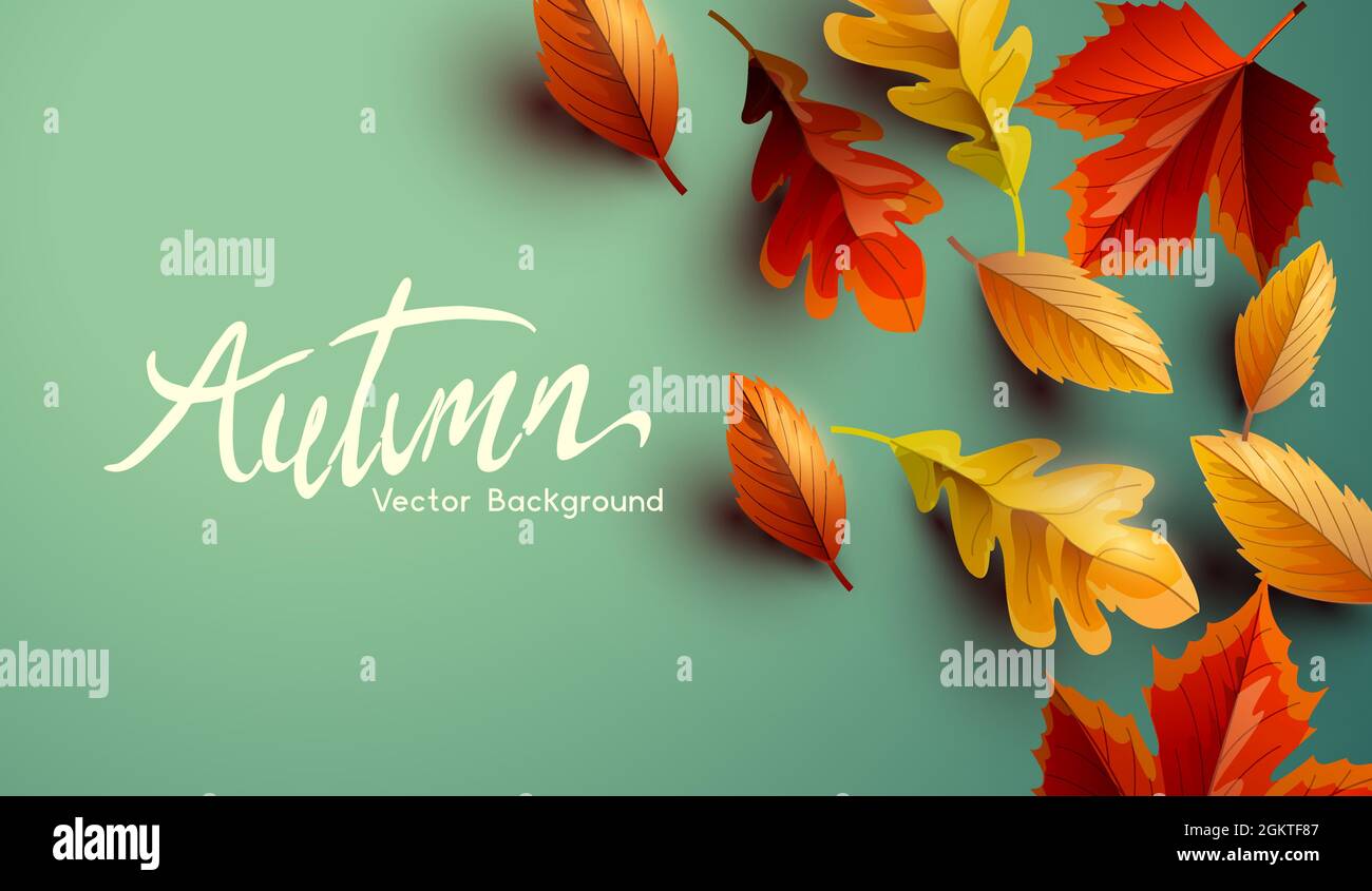 Automne automne saison fond de conception avec des feuilles dorées, orange et rouge. Arrière-plan vectoriel. Illustration de Vecteur