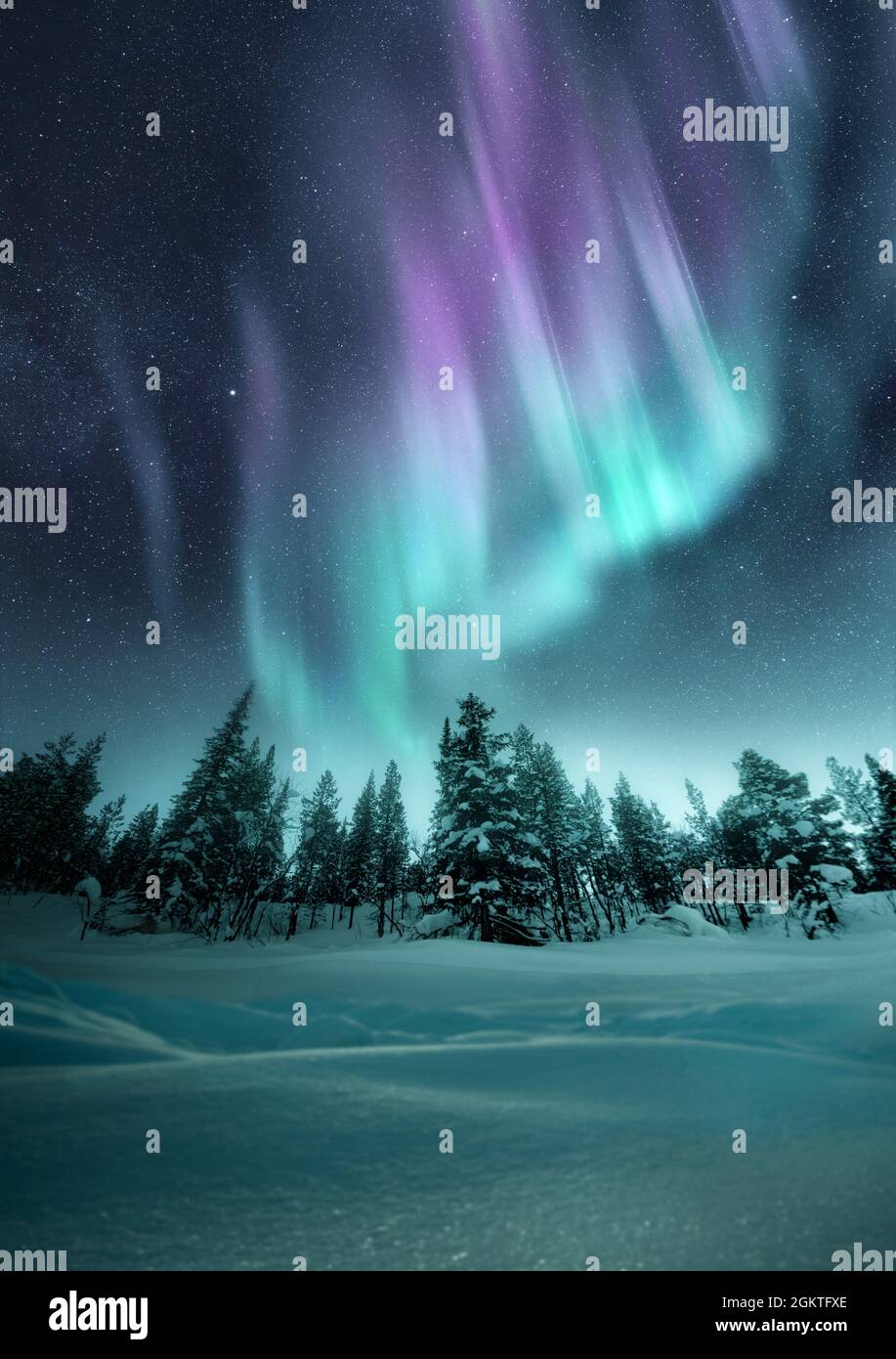 Les aurores boréales scintillent dans le ciel nocturne d'hiver au-dessus d'une forêt en Suède. Photo composite. Banque D'Images