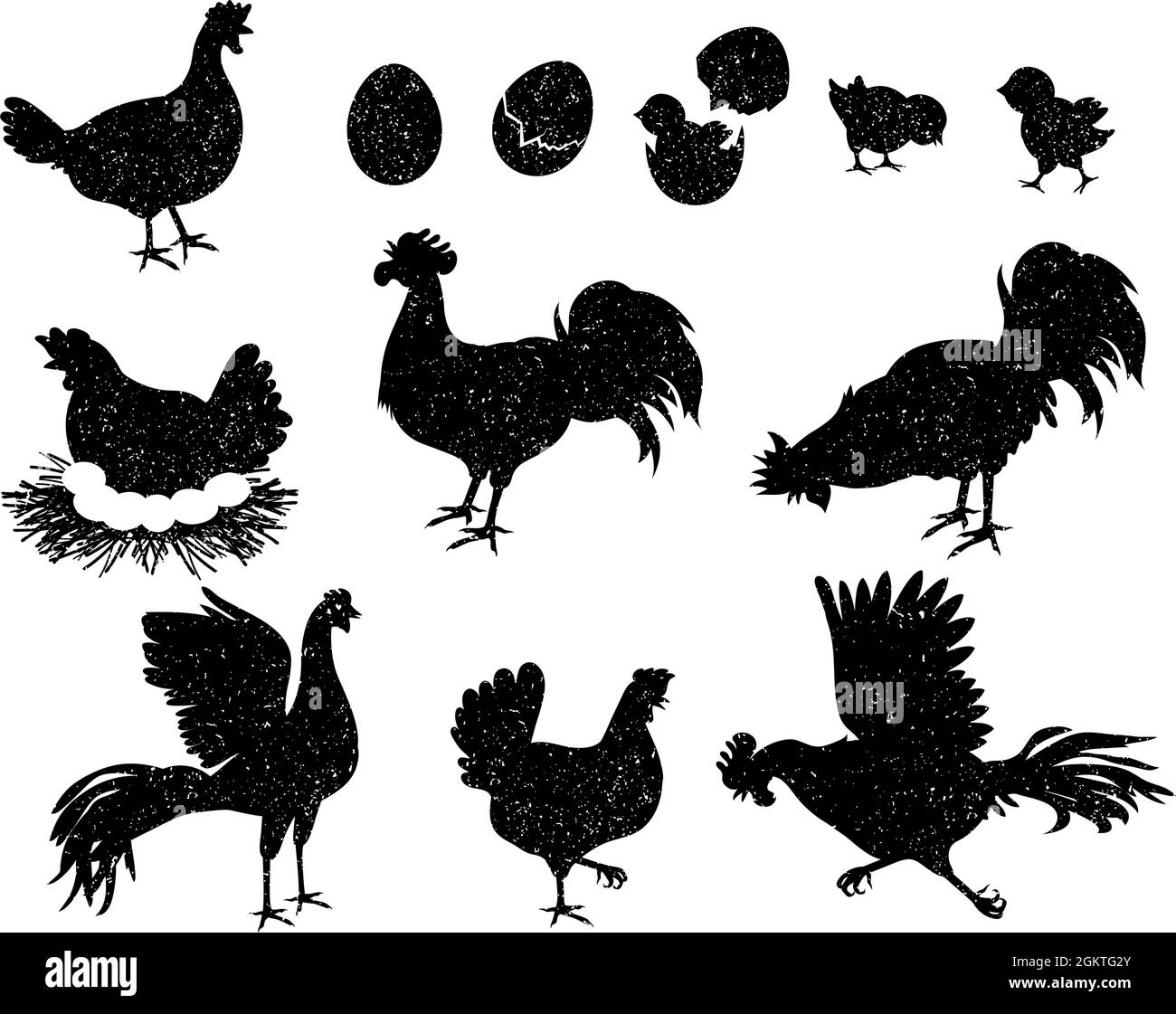 Silhouettes de coq, de poule et de poulet pour le logo et les étiquettes vintage. Icônes de volaille pour la viande et les produits à base d'œufs. Ensemble de vecteurs de famille d'oiseaux domestiques Illustration de Vecteur