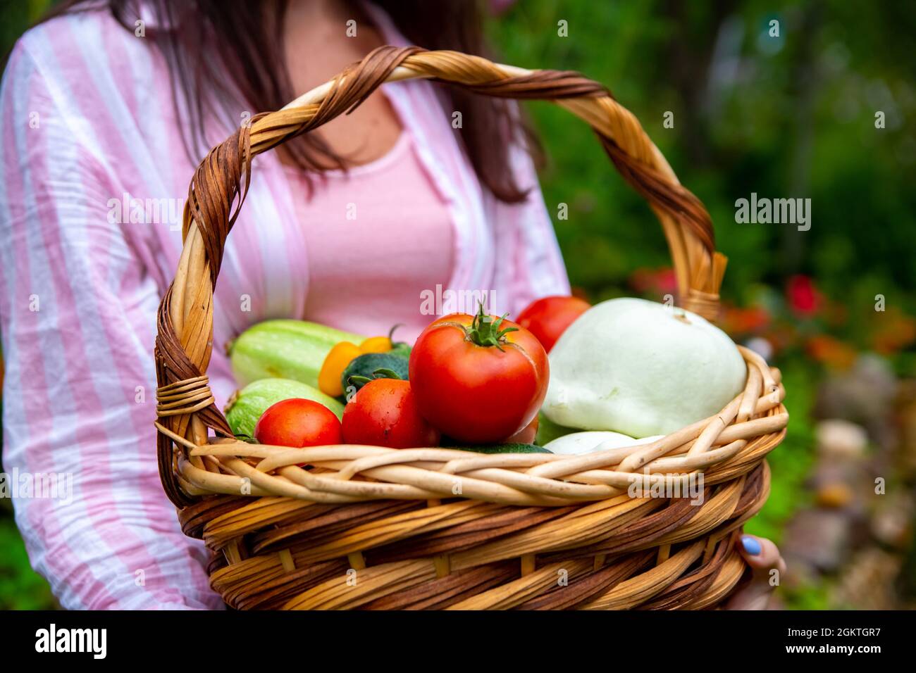 Odeur de légumes fraîchement cueillis. Récolte dans le panier dans les mains de la ferme Banque D'Images