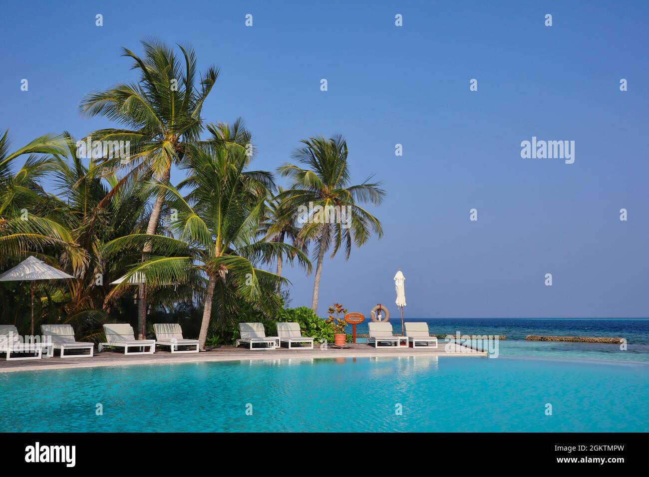Magnifique Resort avec piscine, chaise longue, vue sur les palmiers et l'océan aux Maldives. Vacances luxueuses sur l'île des Maldives pendant la journée d'été. Banque D'Images