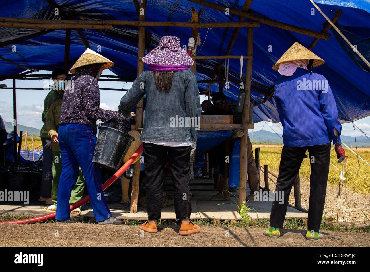 Les sections locales vietnamiennes participent à une ligne de seaux lors d'une mission de rétablissement dans la province de Quang Binh, au Vietnam, le 3 juillet 2021.pendant la mission de rétablissement, Dans le cadre de la 143e activité conjointe sur le terrain, le personnel de la DPAA, les jeunes et les ressortissants locaux ont passé leurs journées à creuser et à crier dans l'espoir de trouver un membre du service américain perdu pendant la guerre du Vietnam. Il y a plus de 1,500 000 Américains qui ne sont toujours pas comptabilisés dans la guerre du Vietnam, et les États-Unis poursuivent leur partenariat de plusieurs décennies avec le gouvernement vietnamien pour trouver et amener les militaires disparus au pays. Banque D'Images