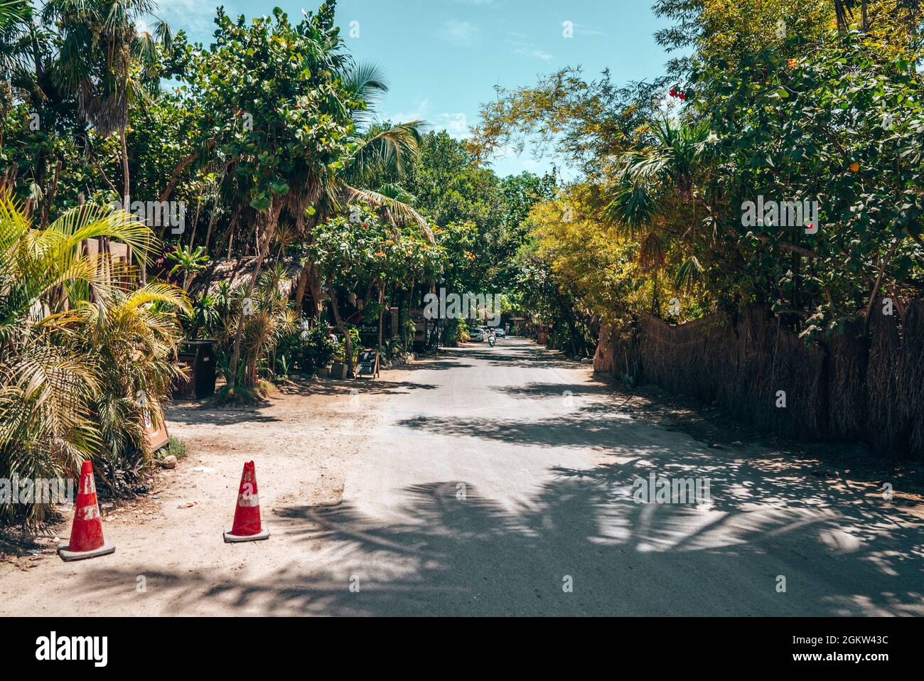 Route avec cônes de circulation et véhicules, arbres des deux côtés de la route Banque D'Images