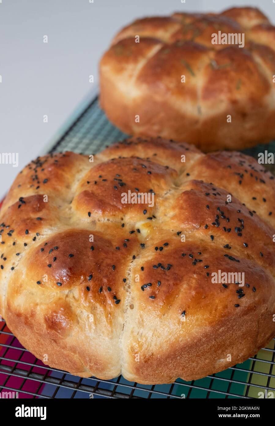 Deux pains Challah traditionnels ronds faits maison pour le nouvel an juif, ou sabbat sur un plateau en fil métallique dont l'un est recouvert de graines de Nigella et d'autres romarin Banque D'Images