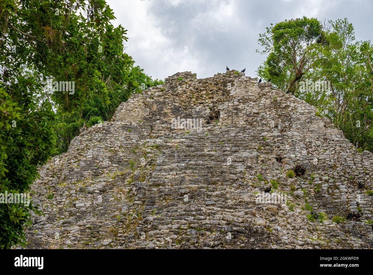 Nohoch Mul Pyramid aux ruines antiques de la ville maya Coba Banque D'Images