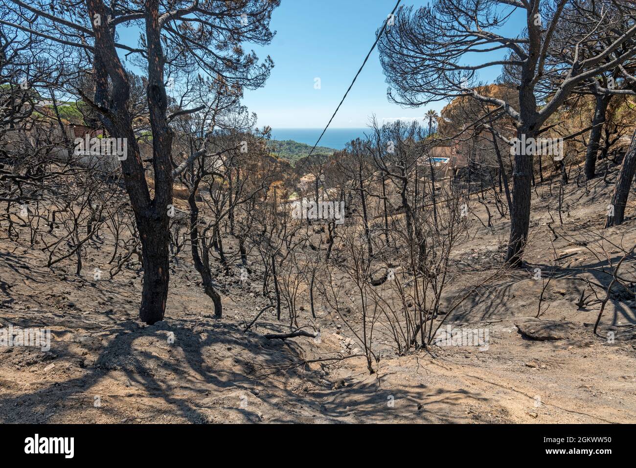 POLICE DÉGÂTS FEU DE FORÊT SANT LLORENC URBANISATION RÉSIDENTIELLE LLORET DE MAR COSTA BRAVA GERONA ESPAGNE Banque D'Images