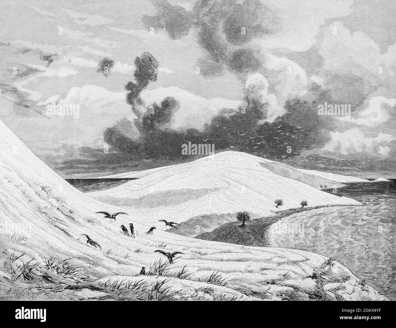 Dunes dans le Kurische Nehrung ou Courland Spit, ancienne Poméranie aujourd'hui Russie, Mer Baltique, Europe de l'est, illustration historique 1880, Banque D'Images