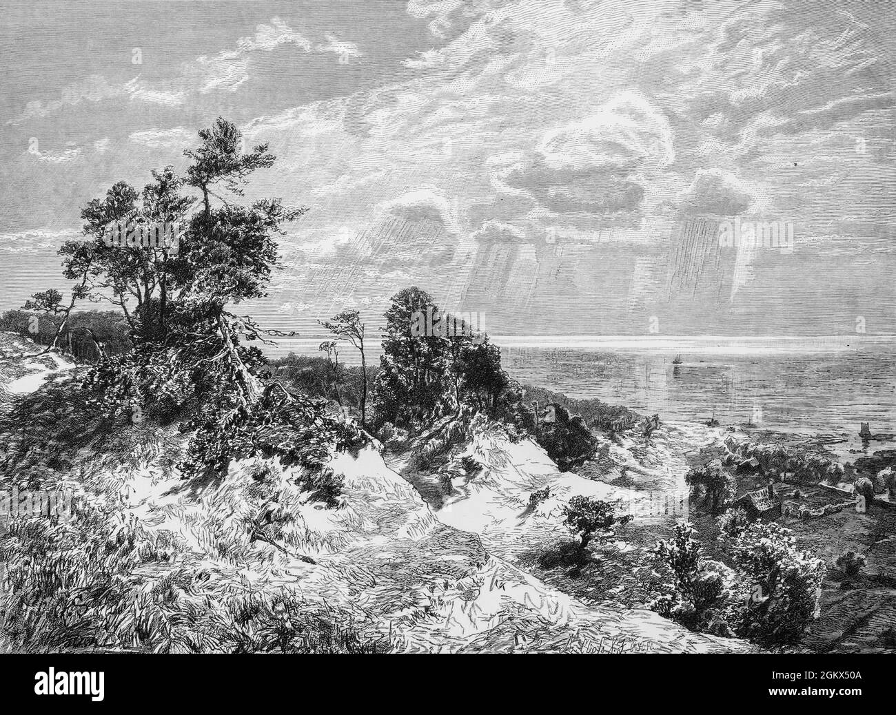 Kiefernwald am Kurisches Haff ou forêt de pins sur le lagon de Courland, , aujourd'hui Russie, oblast de Kaliningrad, Mer Baltique, illustration historique 1880, Banque D'Images