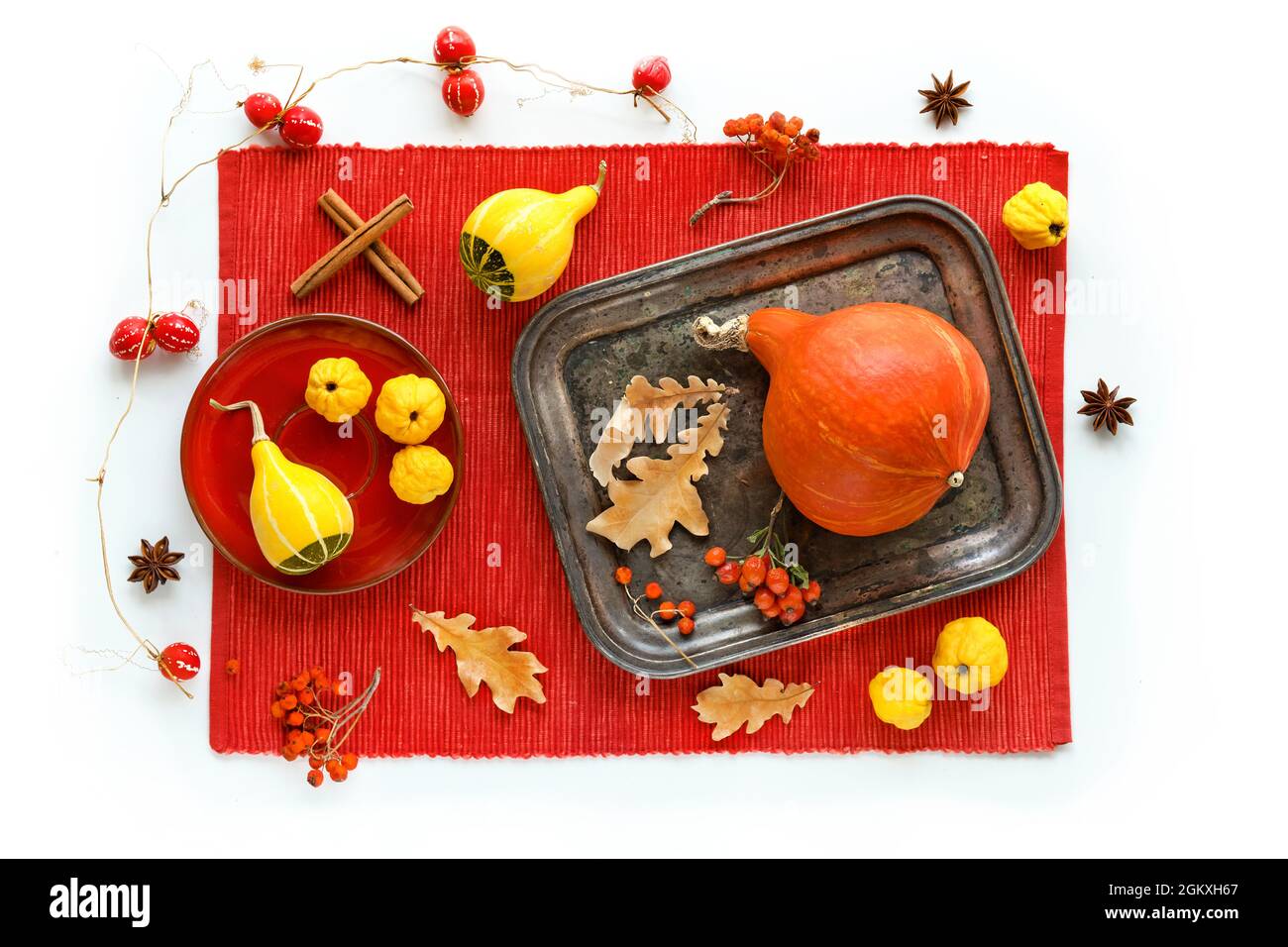 Couleurs d'automne. Citrouilles jaune et orange et fruits de coing sur plateau métallique serviette textile rouge vif sur fond blanc. Feuilles de chêne sèches, baie de rowan Banque D'Images
