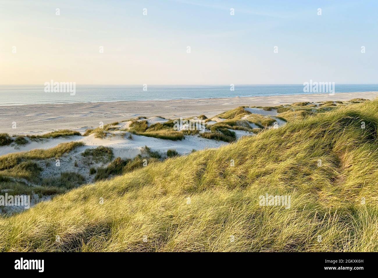 Dunes et plage sur la côte danoise de la mer du Nord Banque D'Images