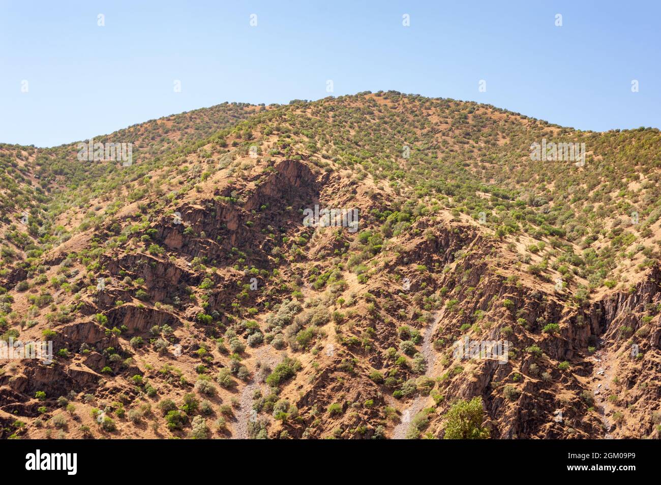 La formation de montagnes avec arbres, feuillage, herbe et ciel bleu dans la partie occidentale de l'iran, province du kurdistan, Iran Banque D'Images