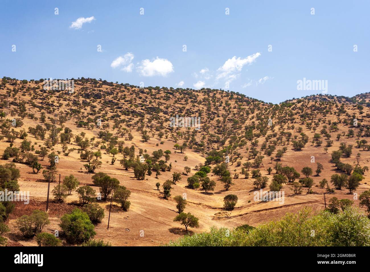 La formation de montagnes avec arbres, feuillage, herbe et ciel bleu dans la partie occidentale de l'iran, province du kurdistan, Iran Banque D'Images