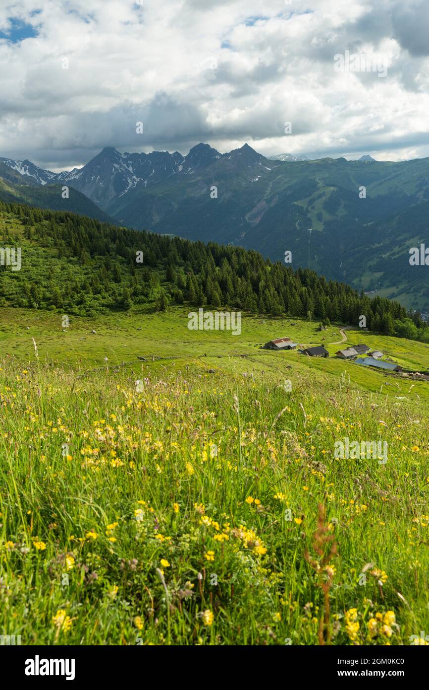 FRANCE HAUTE-SAVOIE (74) LES CONTAMINES-MONTJOIE, PLATEAU ET ALPAGE DE TRUC, EN ARRIÈRE-PLAN : LE COL DE BONHOMME ET LE PIC DE PENNAZ ET ROSELETT Banque D'Images