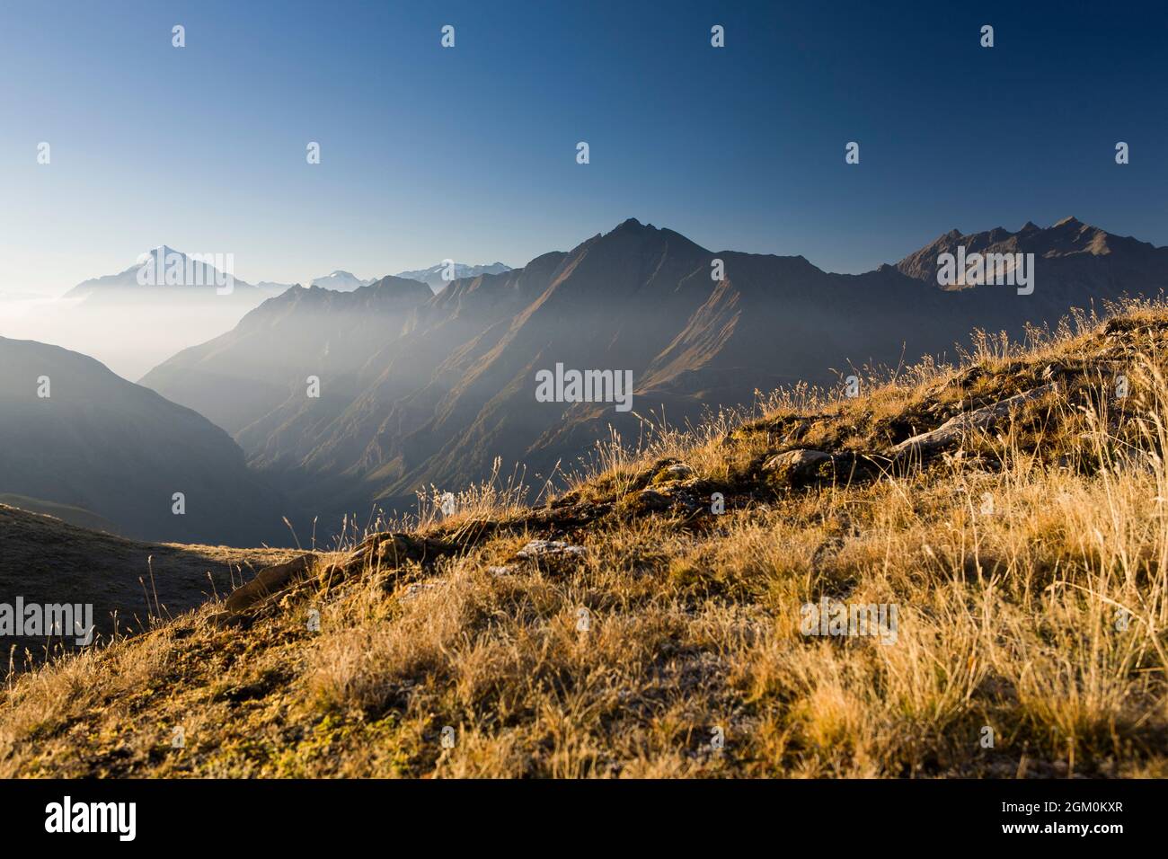 FRANCE SAVOIE (73) MONT POURRI DU COL DE LA CROIX DU BONHOMME, MASSIF DE BEAUFORTAIN Banque D'Images