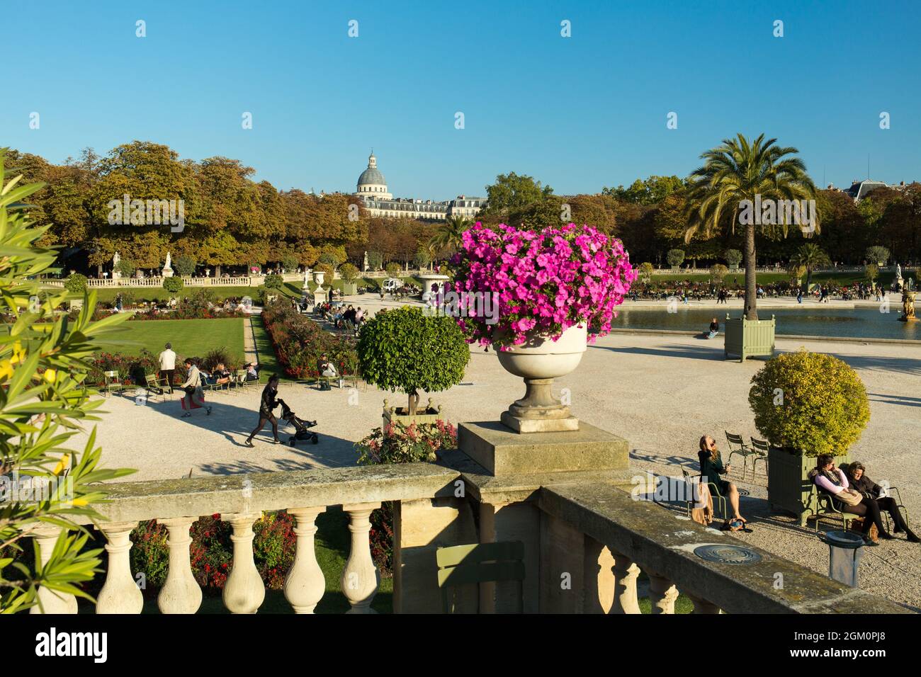 FRANCE PARIS (75) 6ÈME ARRONDISSEMENT, JARDIN DU LUXEMBOURG ET PANTHÉON EN ARRIÈRE-PLAN Banque D'Images