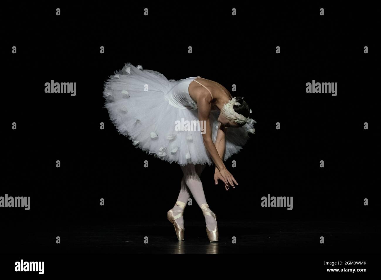 The Dying Swan interprété par Christine Shevchenko dans le cadre du gala du ballet ukrainien à Sadler’s Wells, Londres, Royaume-Uni Banque D'Images