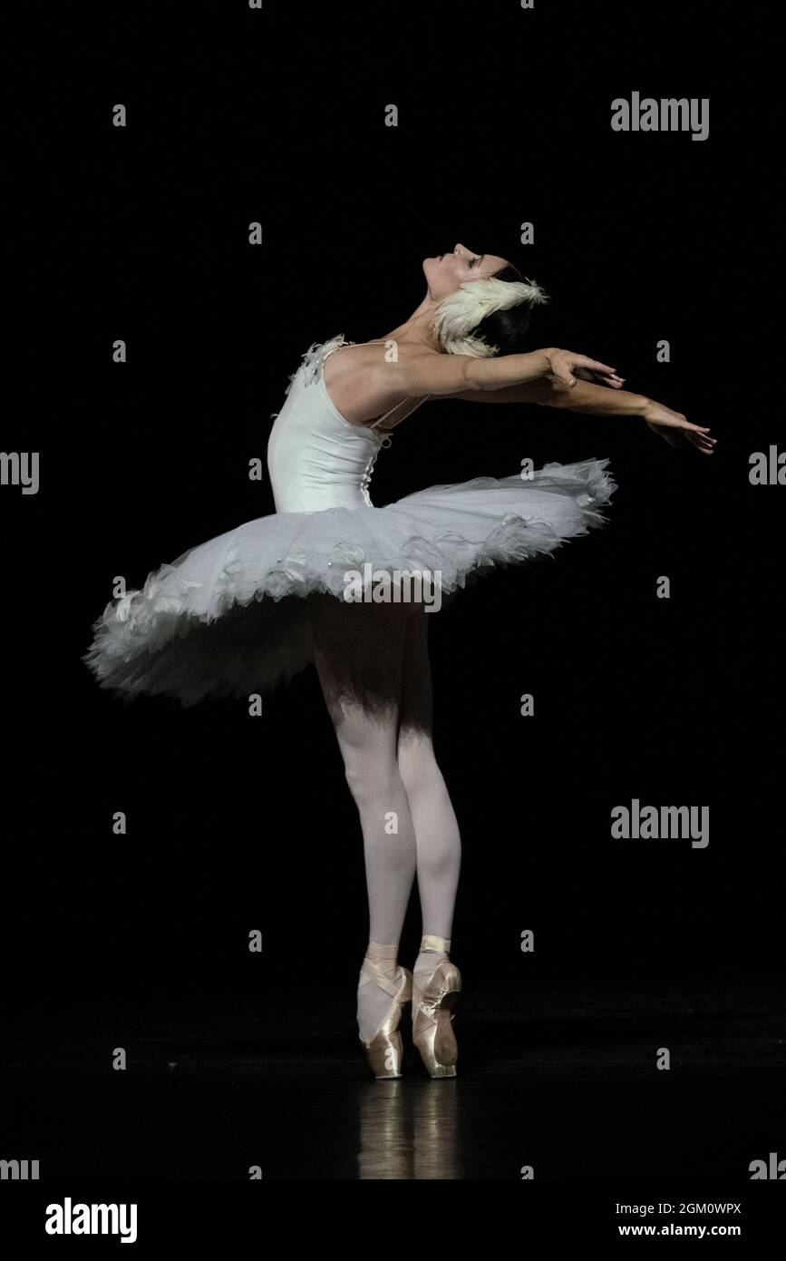 The Dying Swan interprété par Christine Shevchenko dans le cadre du gala du ballet ukrainien à Sadler’s Wells, Londres, Royaume-Uni Banque D'Images