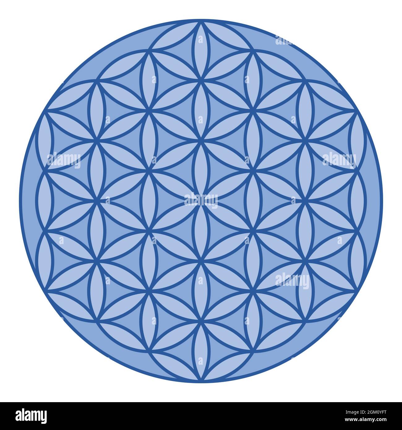 Fleur de la vie géométrique figure vecteur conception Illustration de Vecteur