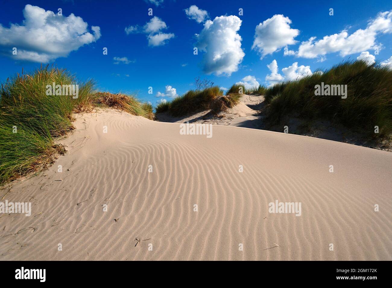 FRANCE.BRETAGNE.CÔTES D'ARMOR (22) ERQUY.DUNE ET PLAGE DES HOPITAUX.(PHOTO NON DISPONIBLE POUR CALENDRIER OU CARTE POSTALE) Banque D'Images