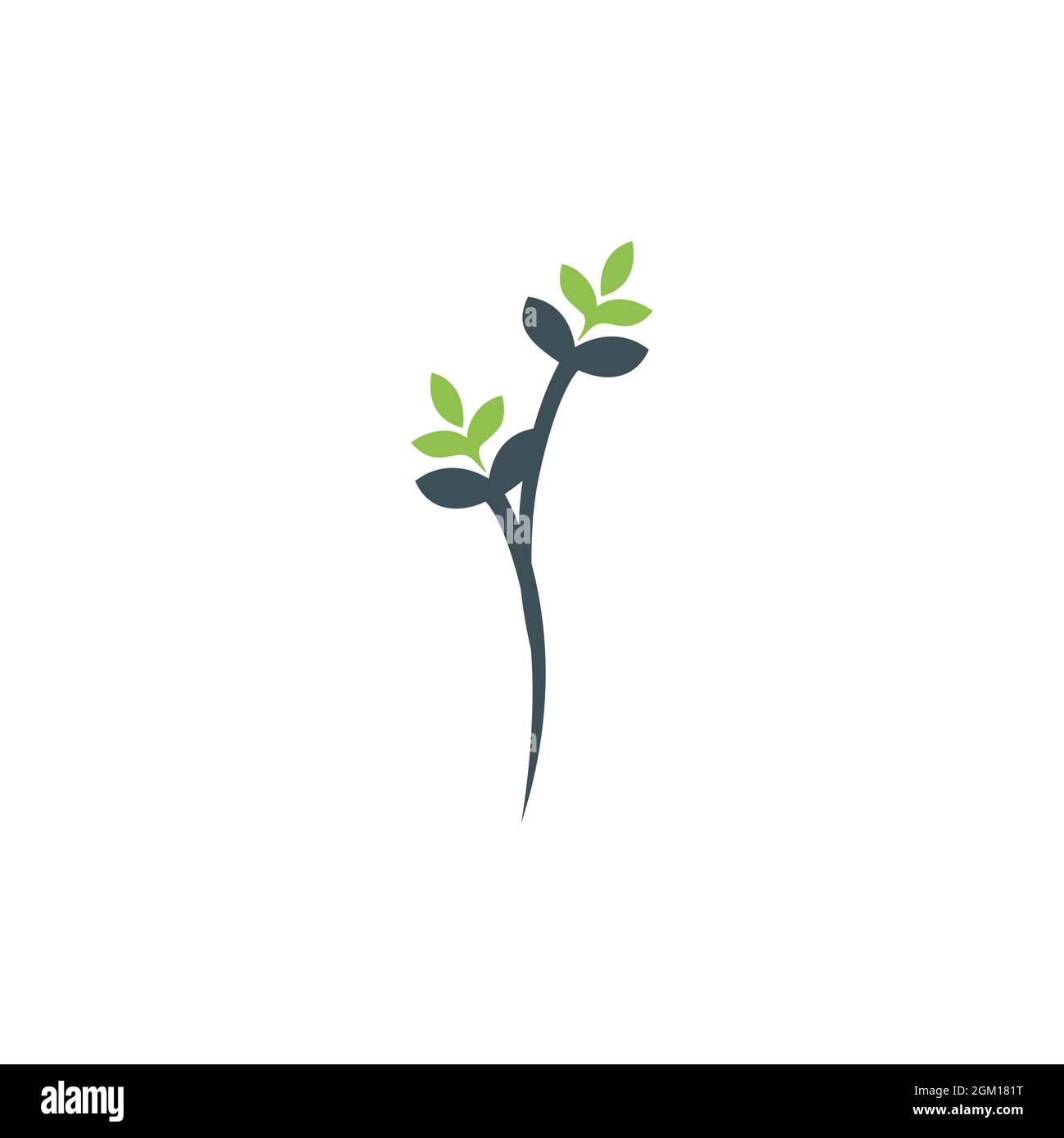 design graphique vectoriel élégant avec logo représentant des feuilles de plantes Illustration de Vecteur