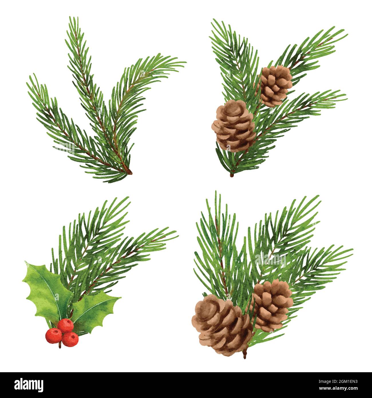 Décorations de Noël style aquarelle. Baie de Holly, sapin, branche, cône de pin, épicéa, isolé sur fond blanc. Illustration de Vecteur