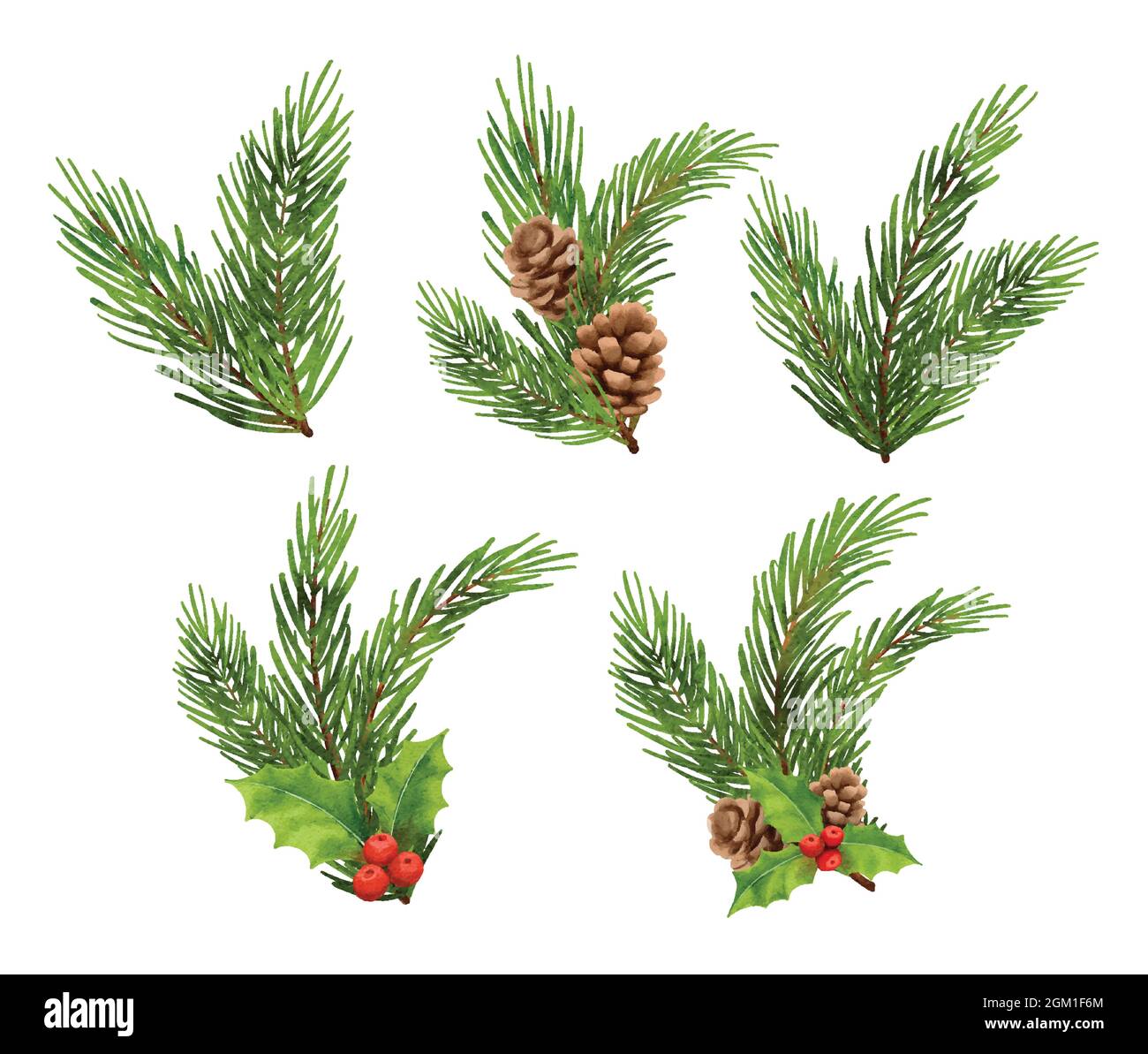 Noël sapin branches décorations style aquarelle. Baie de Holly, pin, cône de pin, épinette, isolée sur fond blanc. Illustration de Vecteur